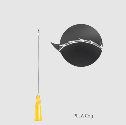 Rainbow Threads PLLA Cog 21 G / 60 mm x 100 mm, L-Kanüle (20 Stück)